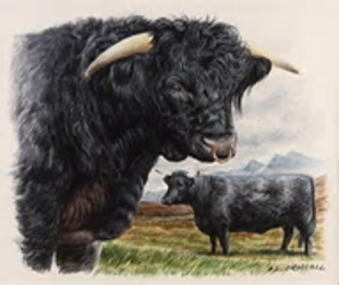 hoffleischerei-bild1